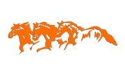 naklejka-trzy-konie-pomaranczowa.jpg