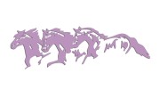 naklejka-trzy-konie-liliowa.jpg