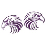 naklejki-orzel-lewa-i-prawa-fioletowe.jpg