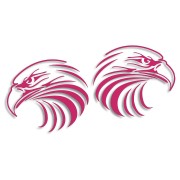 naklejki-orzel-lewa-i-prawa-rozowe.jpg