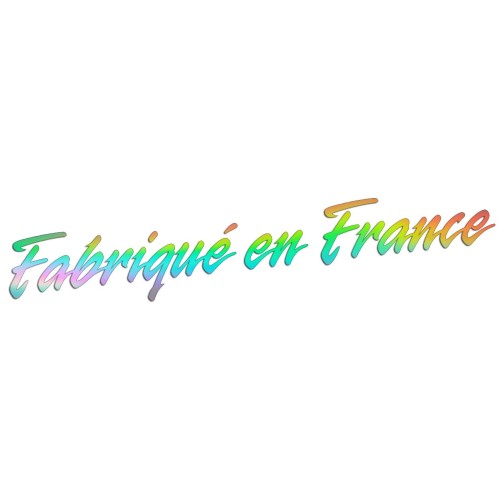 Naklejka FABRIQUE EN FRANCE - Wyprodukowano we Francji - Peugeot Citroen Renault - holograficzna