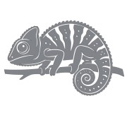 naklejka-kameleon-szara.jpg