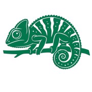 naklejka-kameleon-zielona.jpg