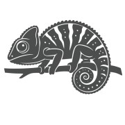 naklejka-kameleon-grafitowa.jpg