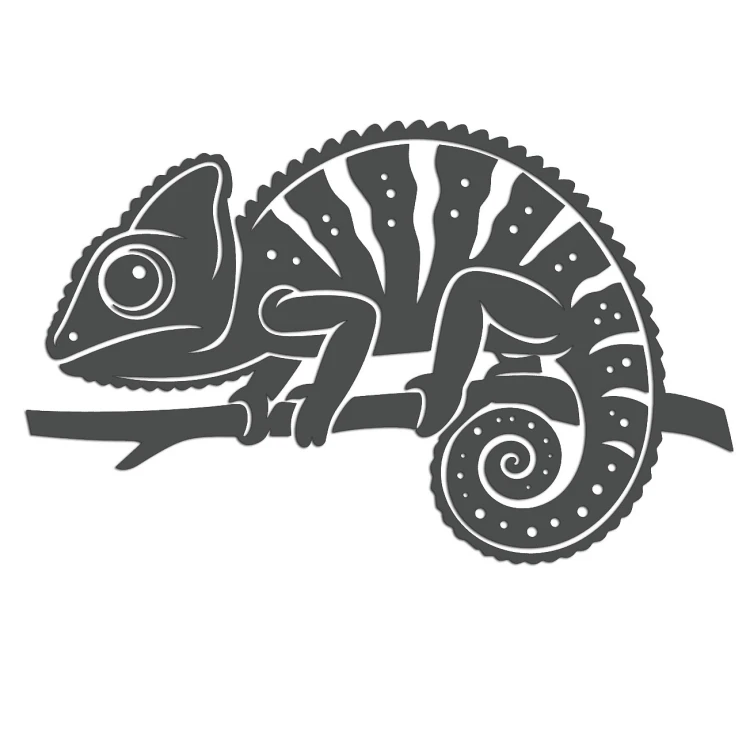 naklejka-kameleon-grafitowa.jpg