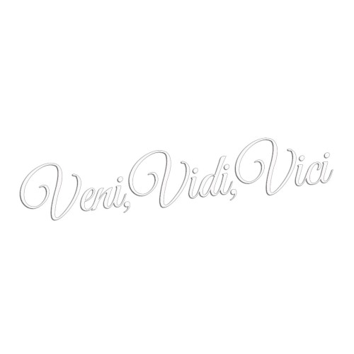 Naklejka VENI VIDI VICI - Na Auto / Szybę / Laptop - biała