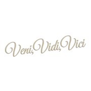 naklejka-veni-vidi-vici-bezowa.jpg