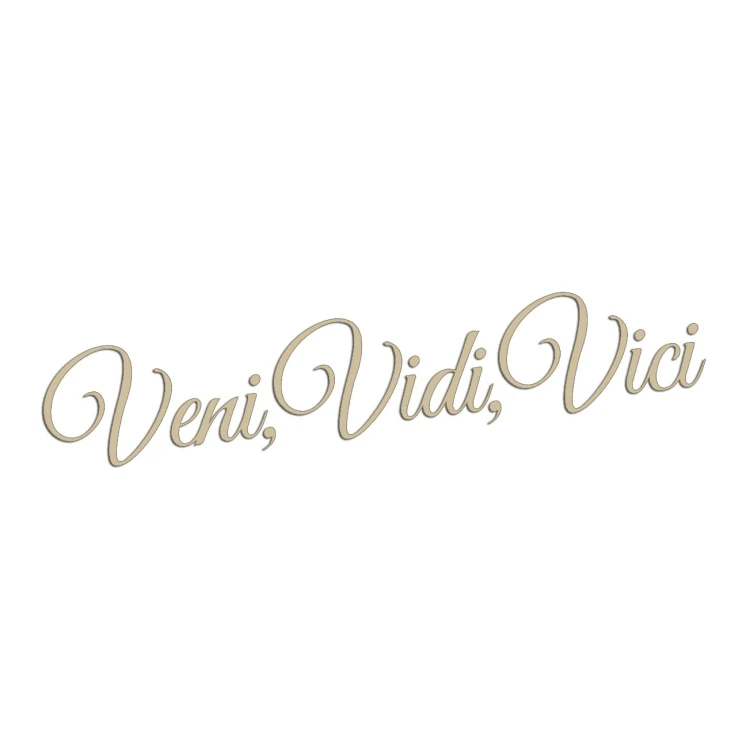 naklejka-veni-vidi-vici-bezowa.jpg