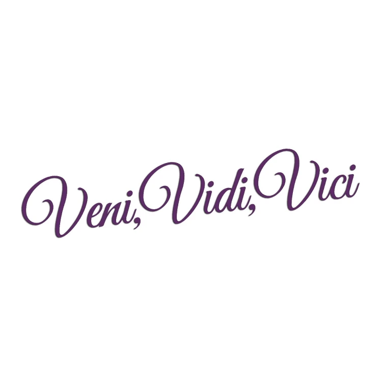 naklejka-veni-vidi-vici-fioletowa.jpg