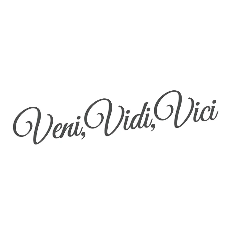 naklejka-veni-vidi-vici-grafitowa.jpg