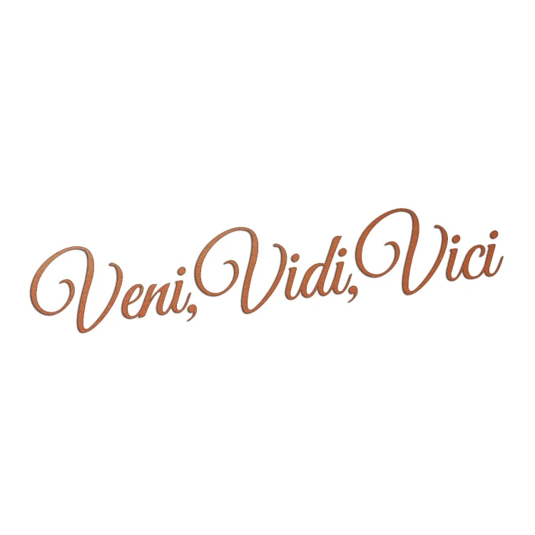 naklejka-veni-vidi-vici-miedziana.jpg