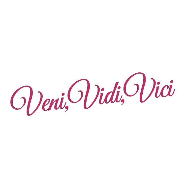 naklejka-veni-vidi-vici-rozowa.jpg