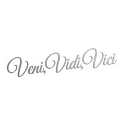 Naklejka VENI VIDI VICI - Na Auto / Szybę / Laptop - srebrna