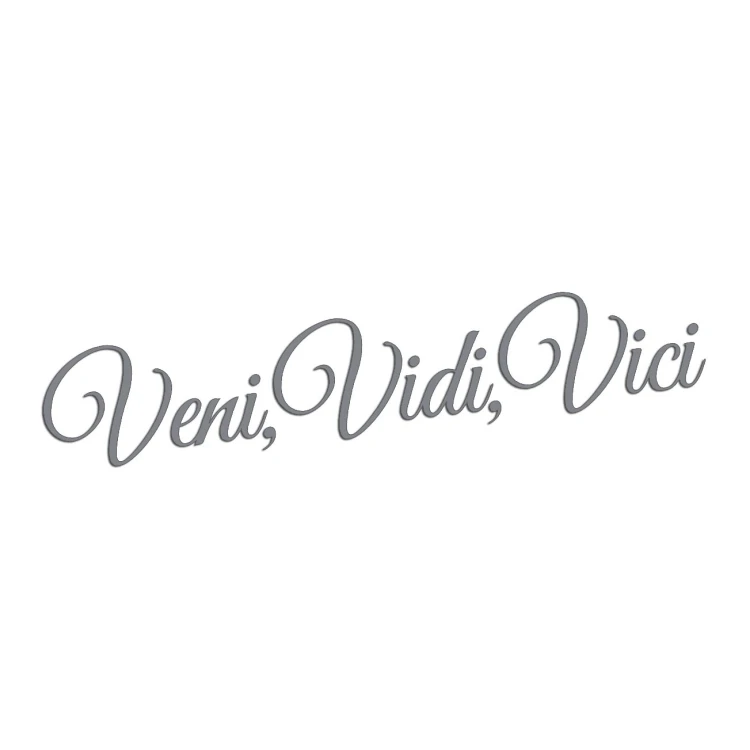 naklejka-veni-vidi-vici-szara.jpg