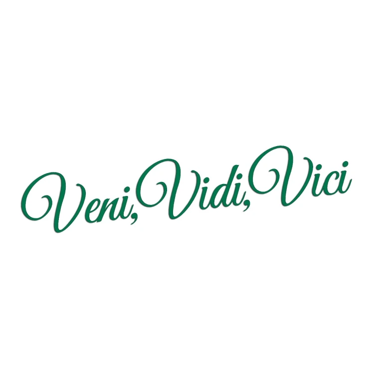 naklejka-veni-vidi-vici-zielona.jpg
