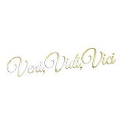 Naklejka VENI VIDI VICI - Na Auto / Szybę / Laptop - złoty chrom