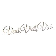 Naklejka VENI VIDI VICI - Na Auto / Szybę / Laptop - chrom