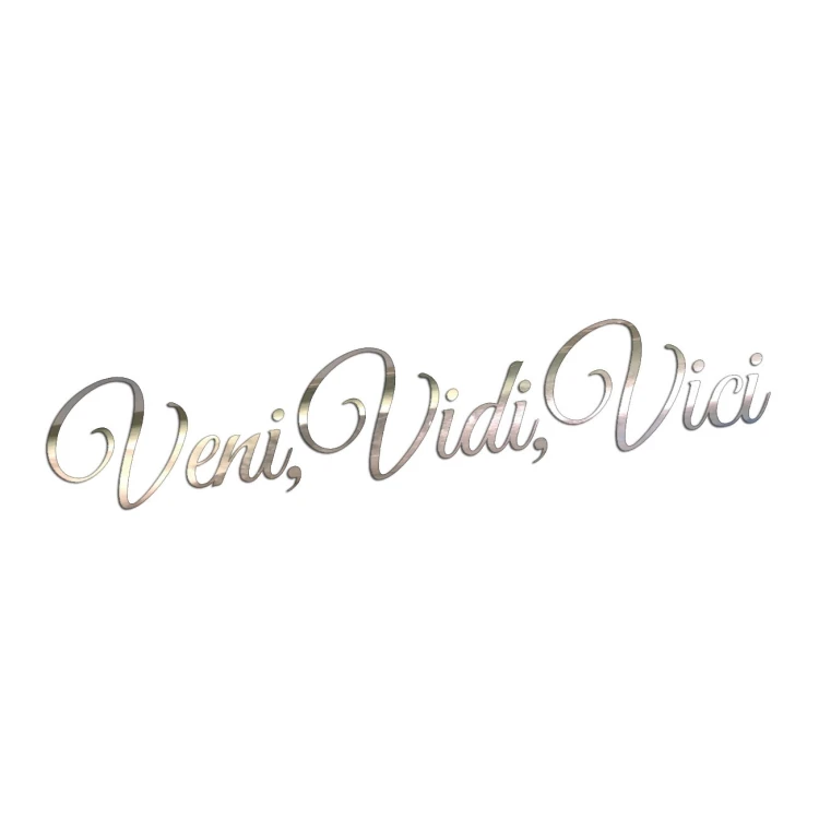 Naklejka VENI VIDI VICI - Na Auto / Szybę / Laptop - chrom