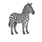naklejka-zebra-grafitowa.jpg
