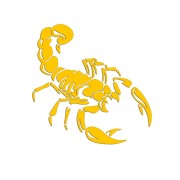 naklejka-skorpion-zolta.jpg