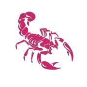 naklejka-skorpion-rozowa.jpg