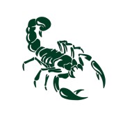 naklejka-skorpion-ciemny-zielony.jpg
