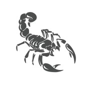 naklejka-skorpion-grafitowa.jpg