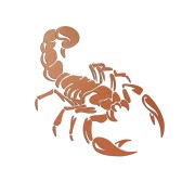 naklejka-skorpion-miedziana.jpg