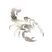Naklejka SKORPION - Znak Zodiaku / Abarth / Tribal - Na Auto - chrom