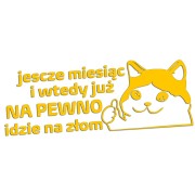 naklejka-smutny-kot-jeszcze-miesiac-i-wtedy-juz-na-pewno-idzie-na-zlom-zolta.jpg