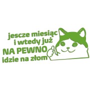 naklejka-smutny-kot-jeszcze-miesiac-i-wtedy-juz-na-pewno-idzie-na-zlom-jasny-zielony.jpg