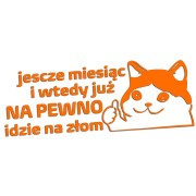 naklejka-smutny-kot-jeszcze-miesiac-i-wtedy-juz-na-pewno-idzie-na-zlom-pomaranczowa.jpg