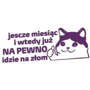 naklejka-smutny-kot-jeszcze-miesiac-i-wtedy-juz-na-pewno-idzie-na-zlom-fioletowa.jpg