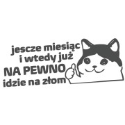 naklejka-smutny-kot-jeszcze-miesiac-i-wtedy-juz-na-pewno-idzie-na-zlom-grafitowa.jpg