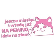 naklejka-smutny-kot-jeszcze-miesiac-i-wtedy-juz-na-pewno-idzie-na-zlom-jasny-rozowy.jpg