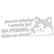 naklejka-smutny-kot-jeszcze-miesiac-i-wtedy-juz-na-pewno-idzie-na-zlom-jasny-szary.jpg