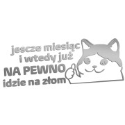 Naklejka JESZCZE MIESIĄC I WTEDY JUŻ NA PEWNO IDZIE NA ZŁOM - Kot Mem - Na Auto - srebrna