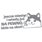 naklejka-smutny-kot-jeszcze-miesiac-i-wtedy-juz-na-pewno-idzie-na-zlom-szara.jpg