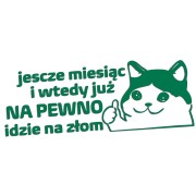 naklejka-smutny-kot-jeszcze-miesiac-i-wtedy-juz-na-pewno-idzie-na-zlom-zielona.jpg