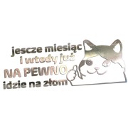 Naklejka JESZCZE MIESIĄC I WTEDY JUŻ NA PEWNO IDZIE NA ZŁOM - Kot Mem - Na Auto - chrom