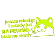 Naklejka JESZCZE MIESIĄC I WTEDY JUŻ NA PEWNO IDZIE NA ZŁOM - Kot Mem - Na Auto - żółty neon