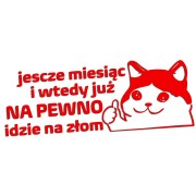 Naklejka JESZCZE MIESIĄC I WTEDY JUŻ NA PEWNO IDZIE NA ZŁOM - Kot Mem - Na Auto - czerwony neon