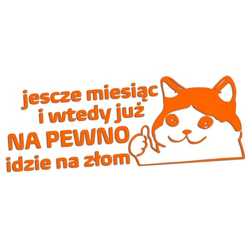 Naklejka JESZCZE MIESIĄC I WTEDY JUŻ NA PEWNO IDZIE NA ZŁOM - Kot Mem - Na Auto - pomarańczowy neon