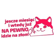 Naklejka JESZCZE MIESIĄC I WTEDY JUŻ NA PEWNO IDZIE NA ZŁOM - Kot Mem - Na Auto - różowy neon