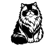 Naklejka KOT PERSKI Puszysty - Rasa Kota / Zwierzęta - Na Auto / Laptop - Czarna