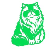 Naklejka KOT PERSKI Puszysty - Rasa Kota / Zwierzęta - Na Auto / Laptop - zielona neon