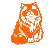 Naklejka KOT PERSKI Puszysty - Rasa Kota / Zwierzęta - Na Auto / Laptop - pomarańczowa neon