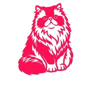 Naklejka KOT PERSKI Puszysty - Rasa Kota / Zwierzęta - Na Auto / Laptop - różowa neon