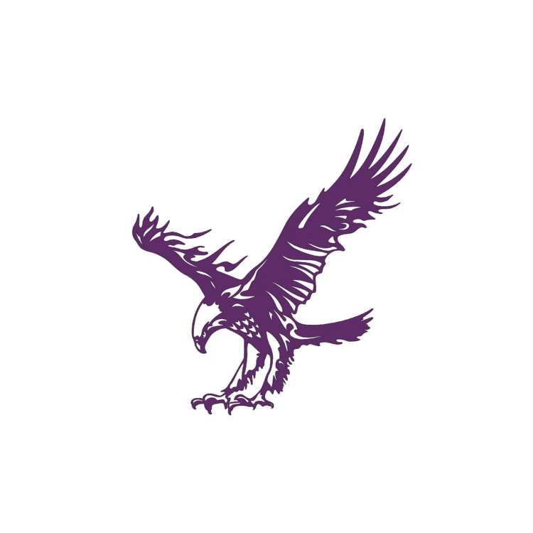 naklejka-orzel-2-fioletowa.jpg