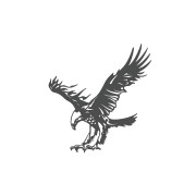 naklejka-orzel-2-grafitowa.jpg